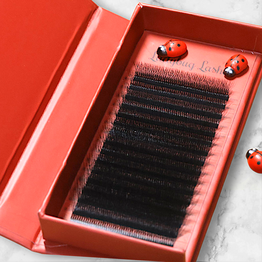 10D Clover Lashes Single Length