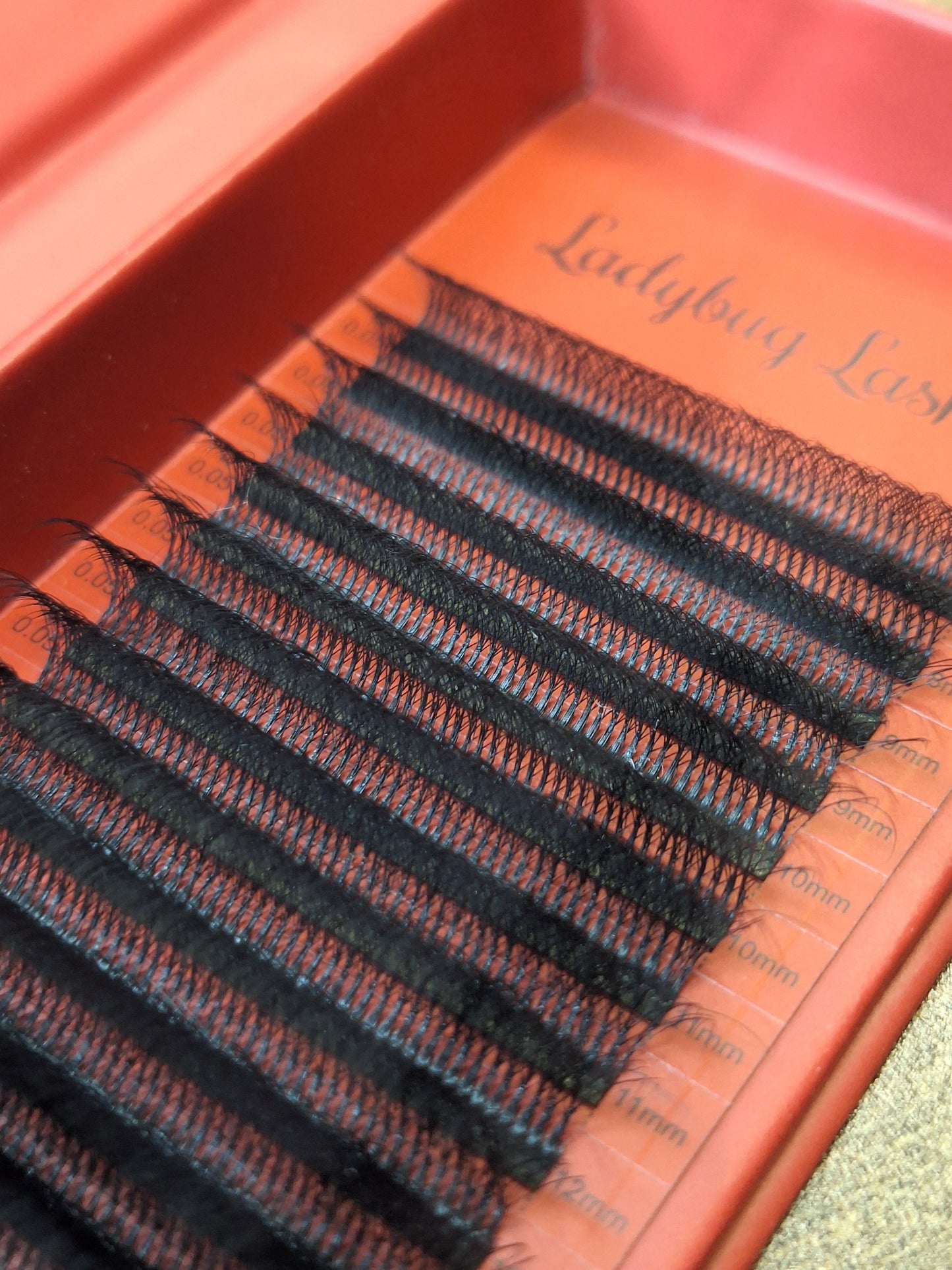 10D Clover Lashes Single Length