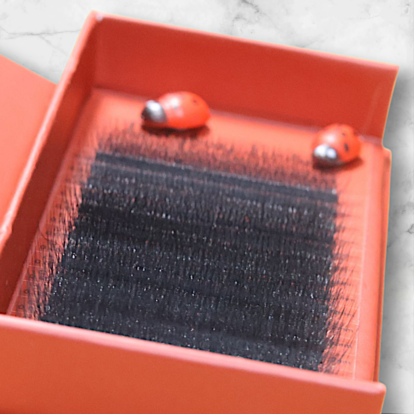 10D Clover Lashes Single Length