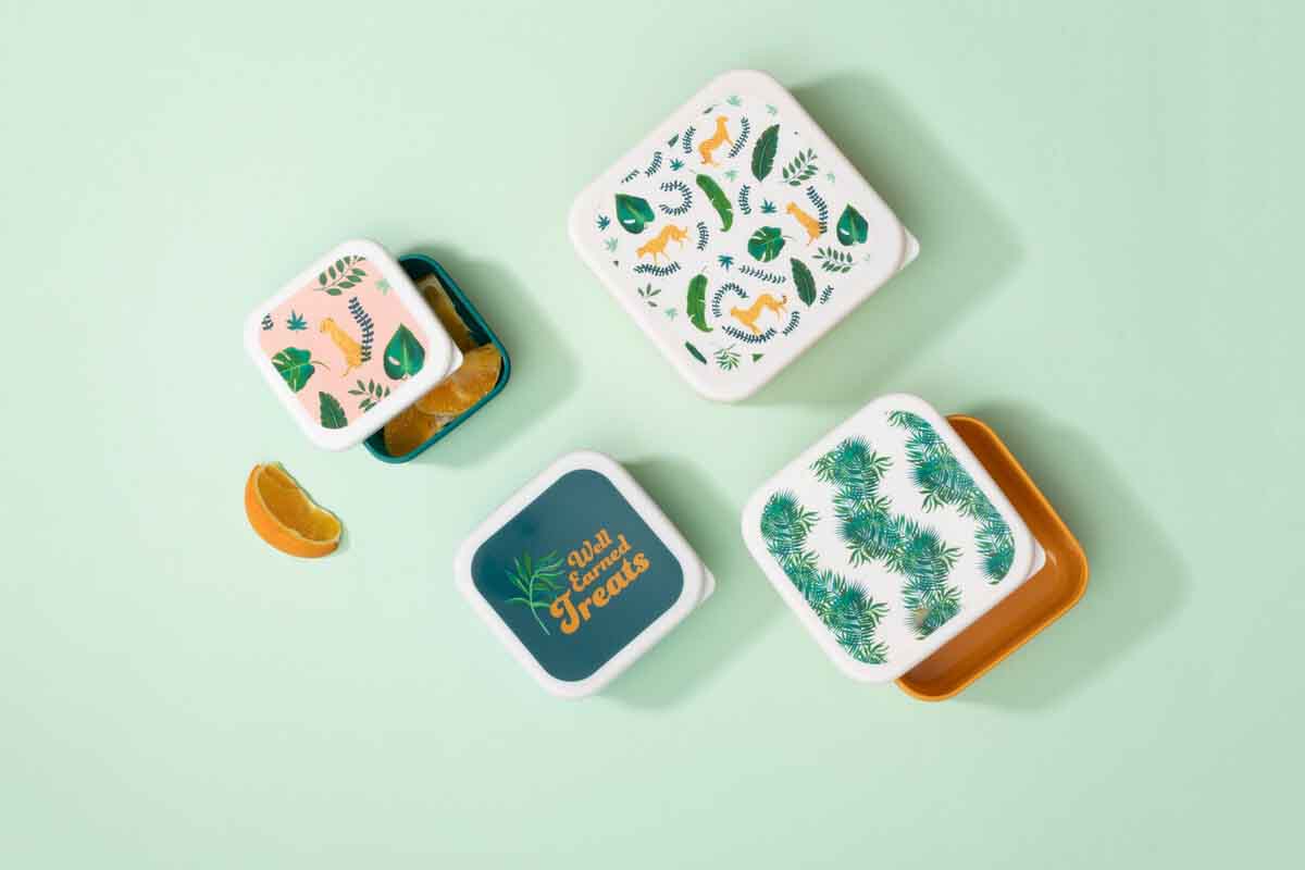 Mimo Set Of 4 Winter Palm Lunch Boxes