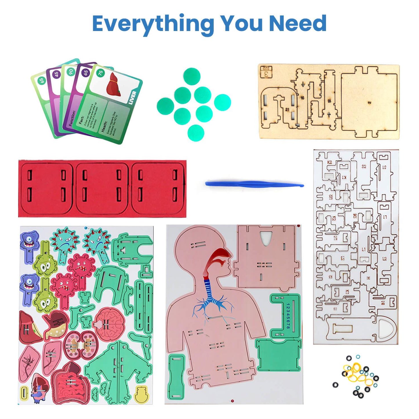 Smartivity Human Body Germ Buster | DIY STEAM 5-in-1 Game