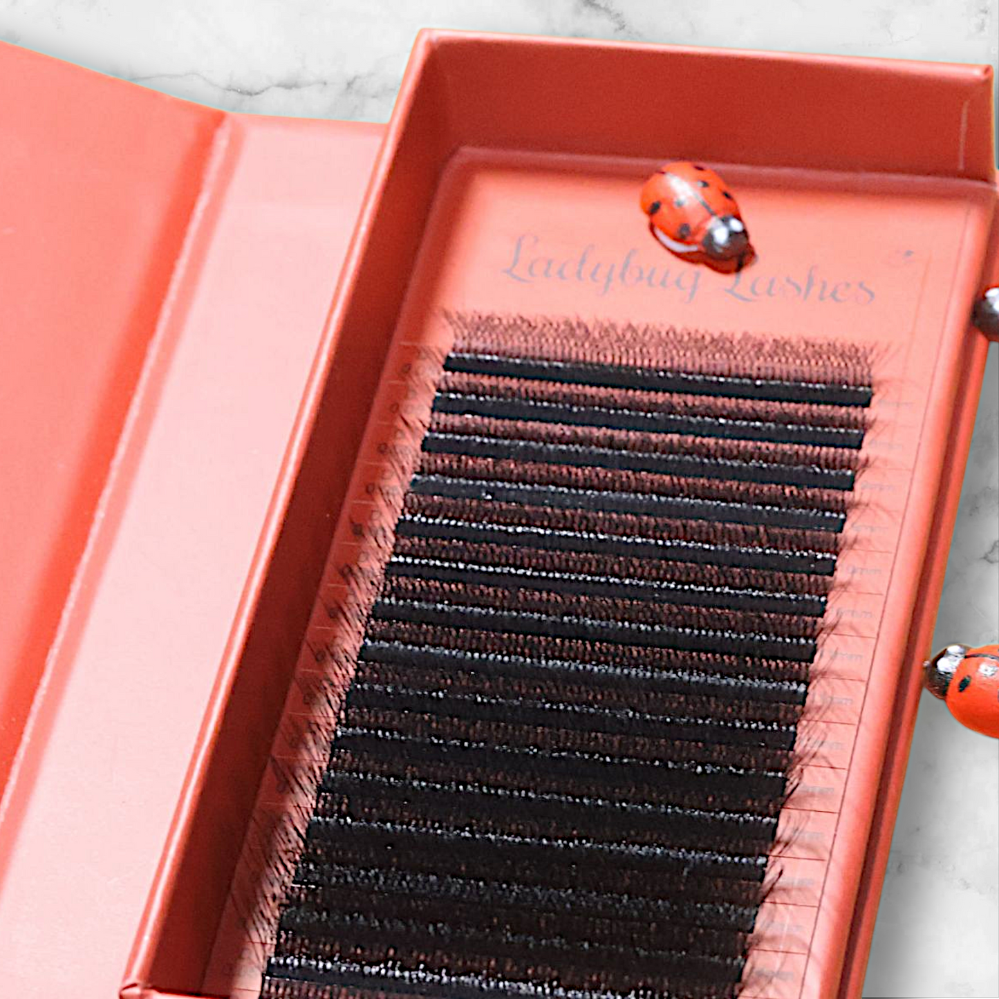 8D Clover Lash Tray Single Lengths