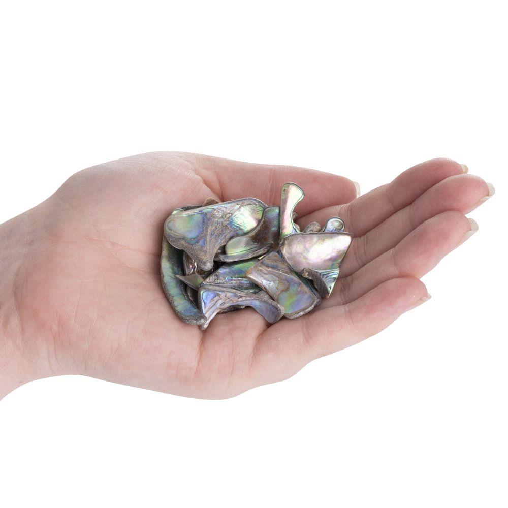 Abalone Shell Tumbled, Unsized
