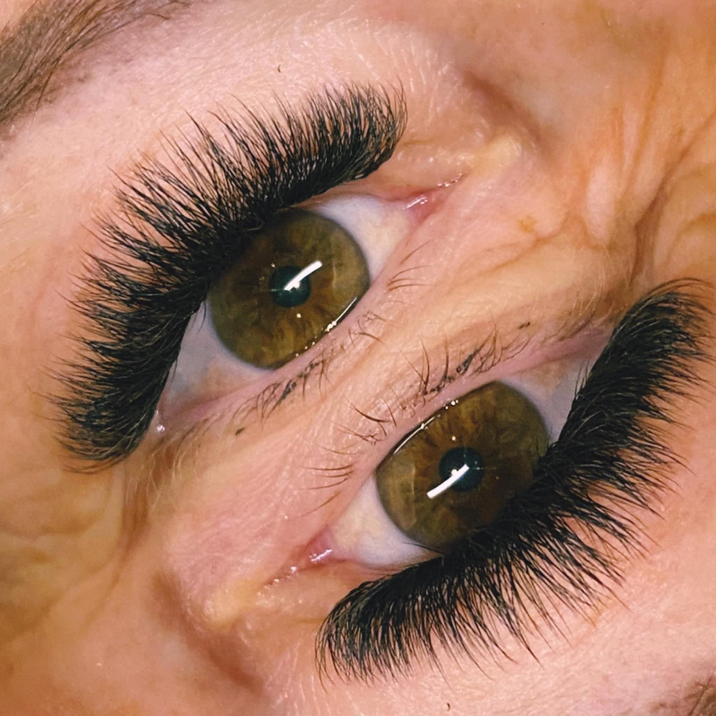 4D Clover Lashes – Mixed Tray (16 Rows)