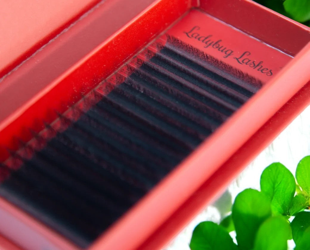 4D Clover Lashes – Mixed Tray (16 Rows)