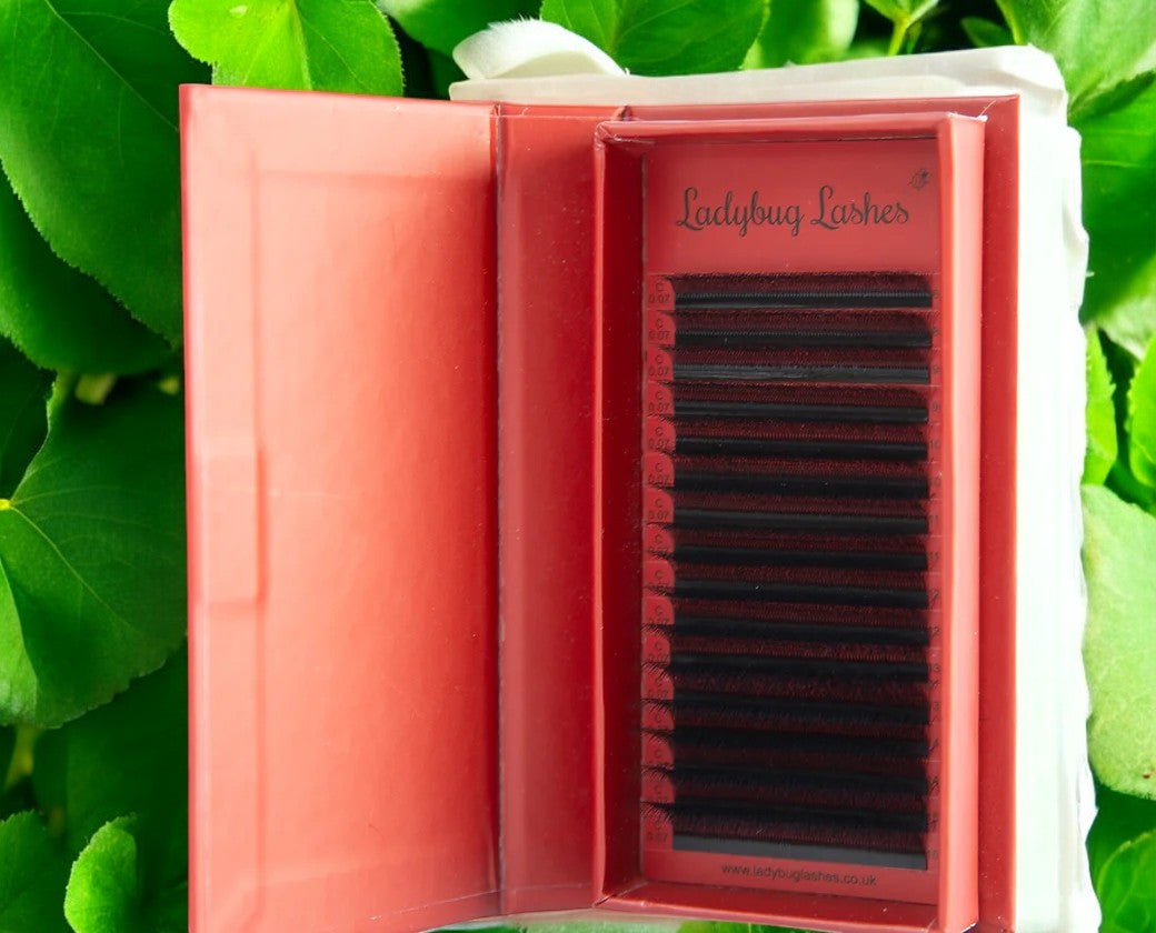 4D Clover Lashes – Mixed Tray (16 Rows)