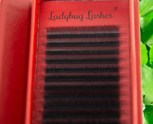 4D Clover Lash Extensions – 16 Rows, Single Length