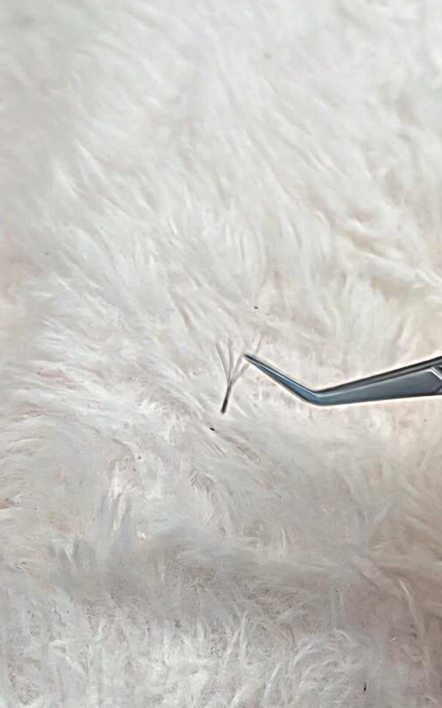 4D Clover Lash Extensions β 16 Rows, Single Length