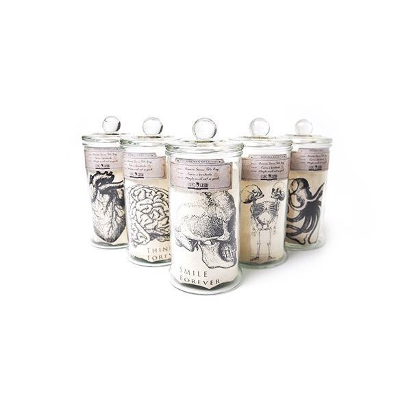 Mr Sci Glass Specimen Jar & Science Tote Bag Fighting Forever (Beetle)