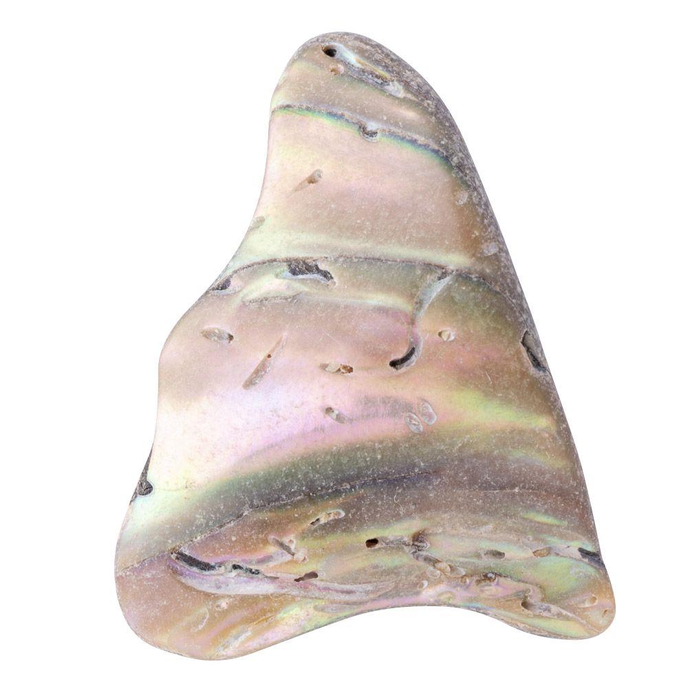 Abalone Shell Tumbled, Unsized