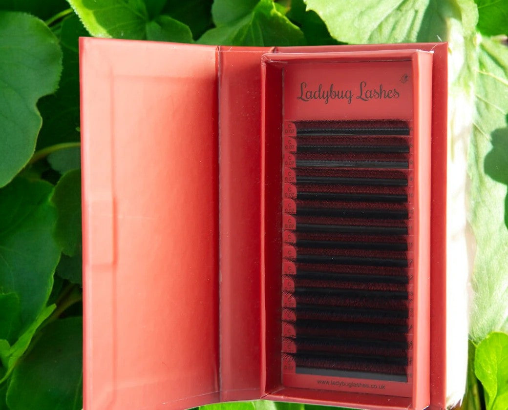 6D Clover Lashes – Mixed Tray (16 Rows)