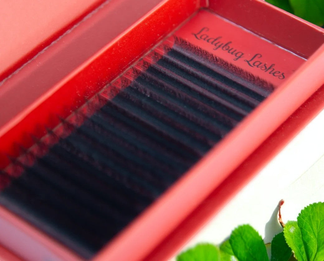 6D Clover Lashes – Mixed Tray (16 Rows)