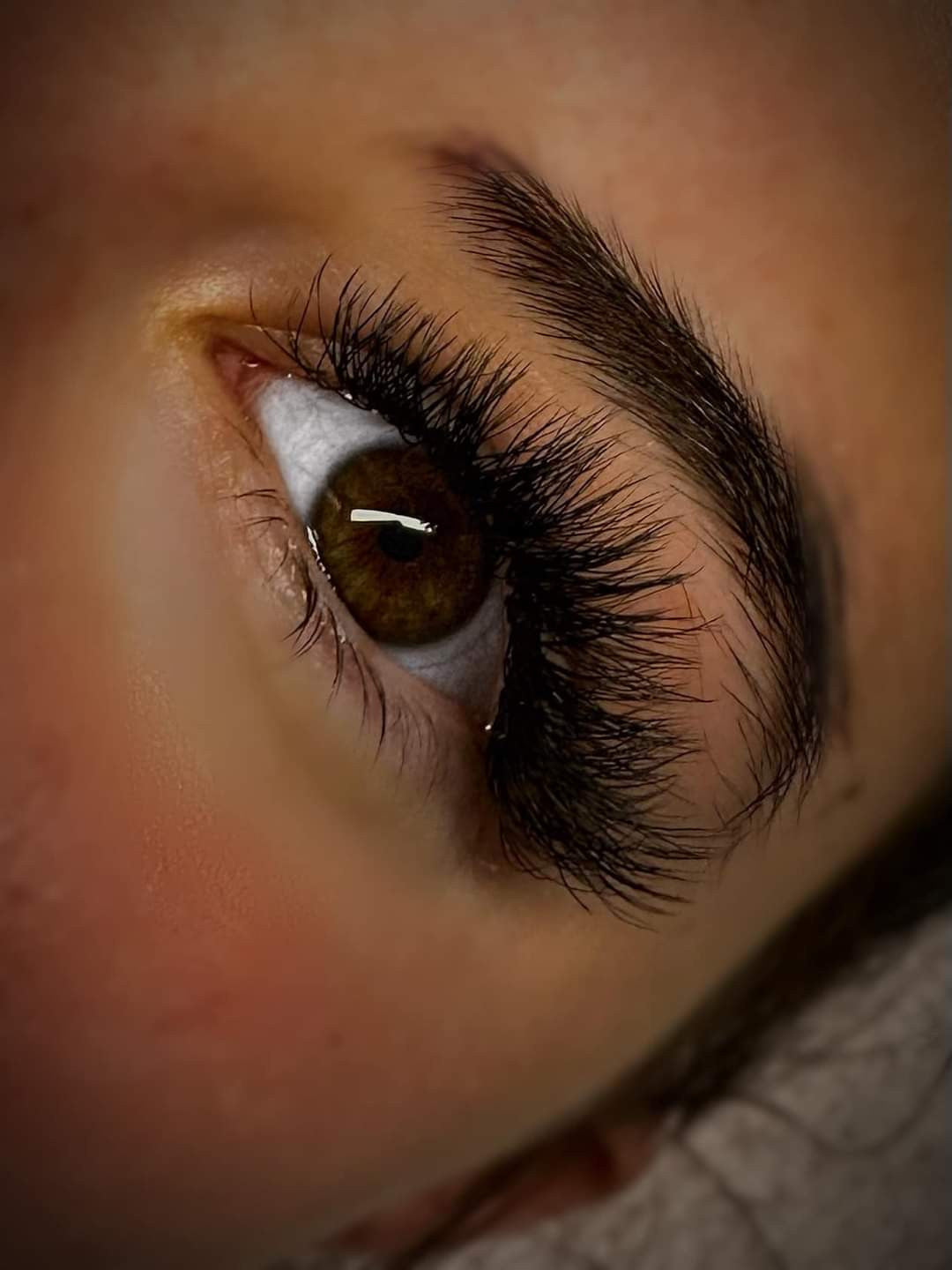 6D Clover Lashes – Mixed Tray (16 Rows)