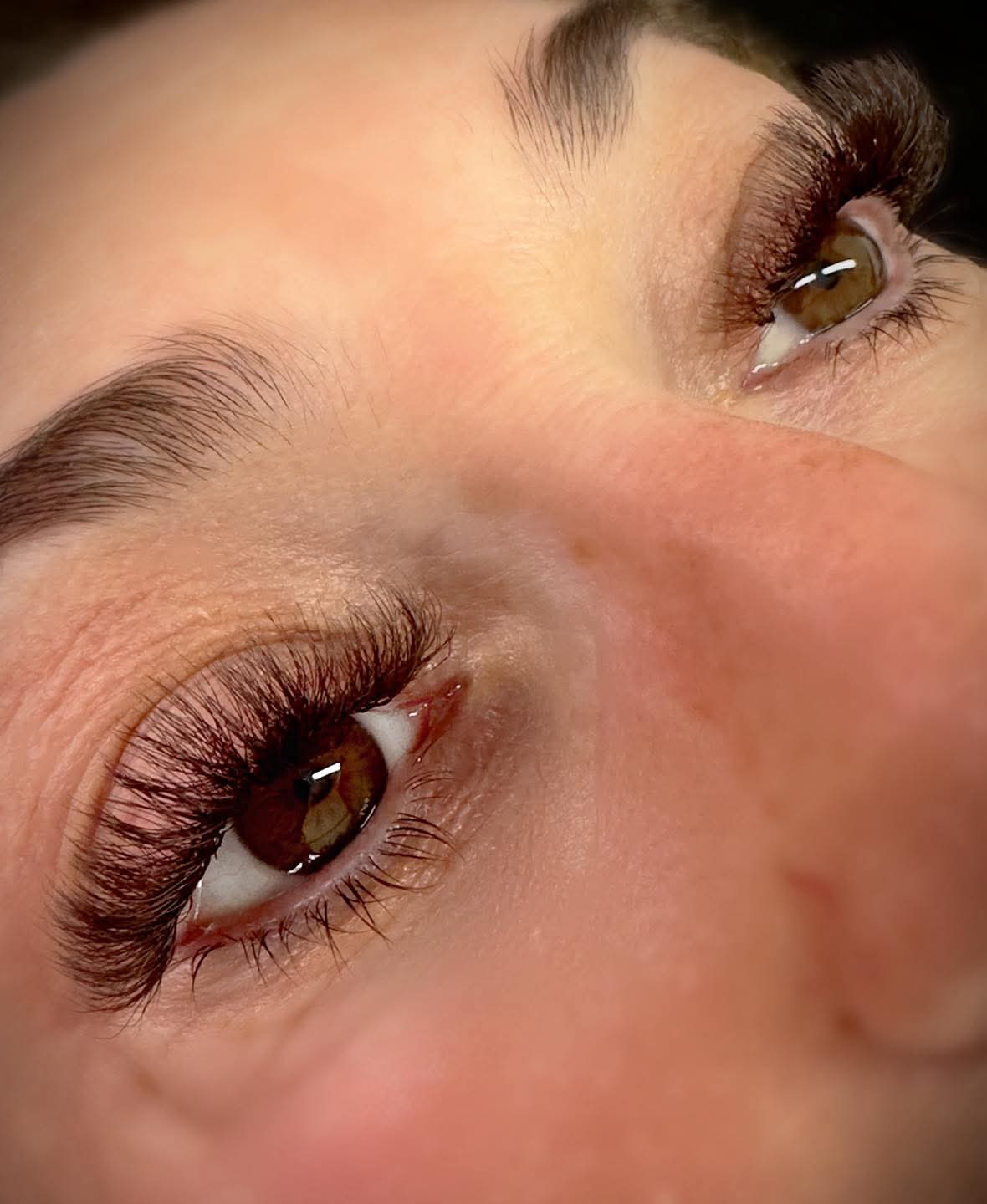 π€ Brown 6D Clover Lashes π€ 16 Rows β’ Single Length