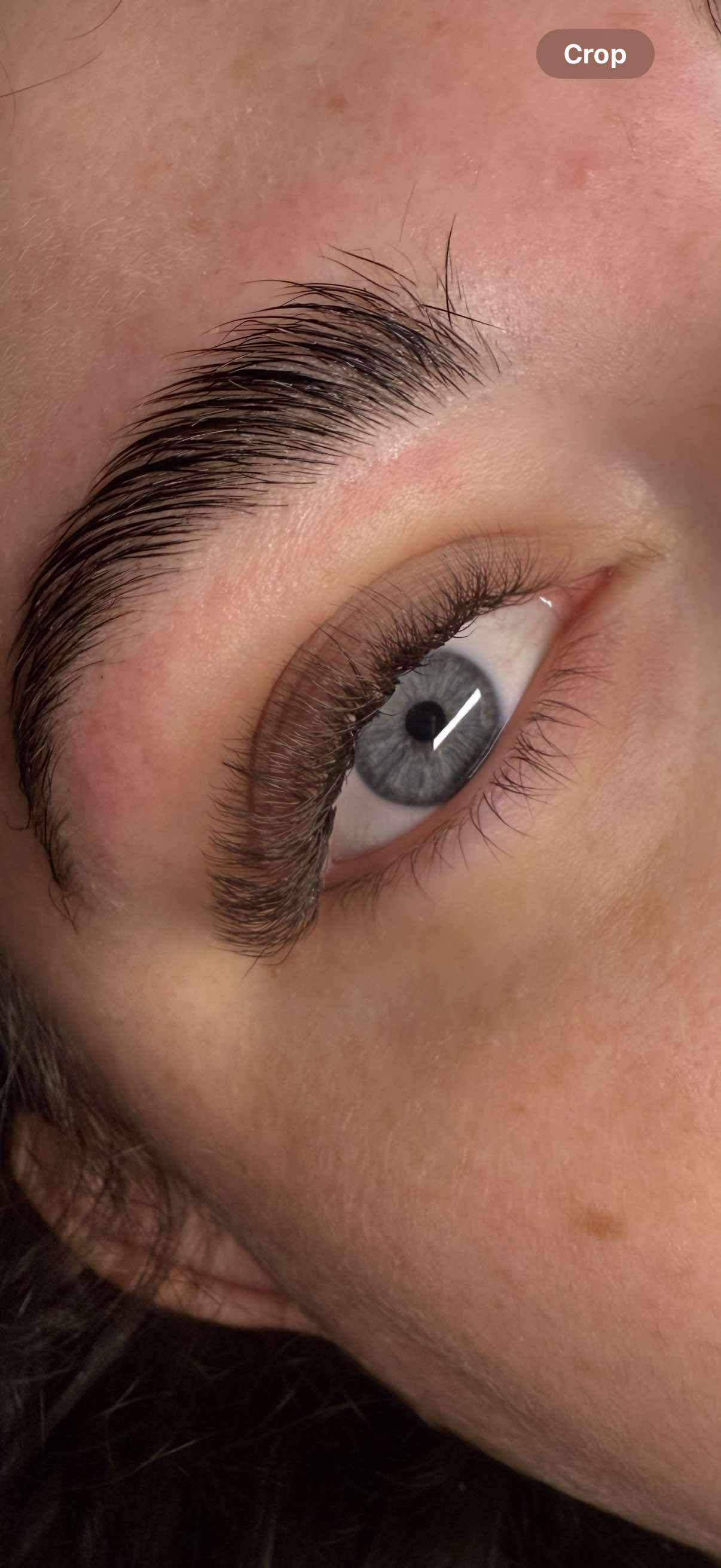 π€ Brown 6D Clover Lash Extensions β Mixed Lengths, 16 Rows π€