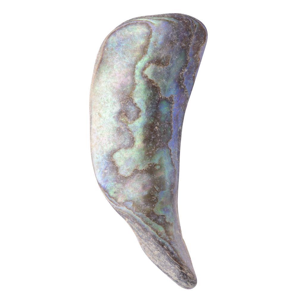 Abalone Shell Tumbled, Unsized