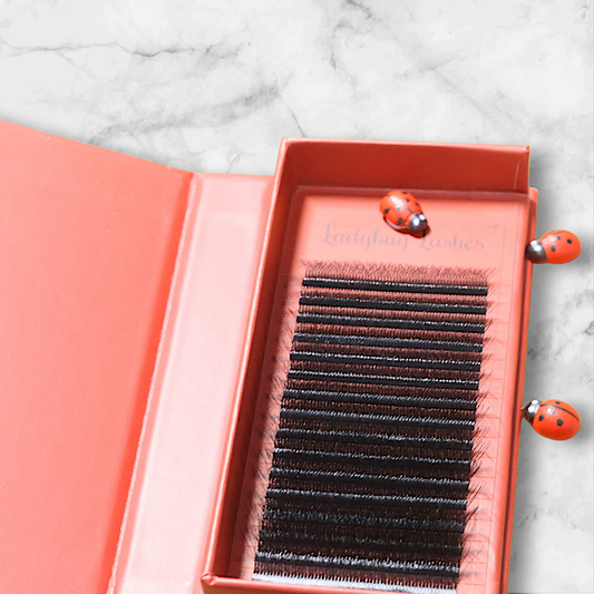 8D Clover Lash Tray Single Lengths