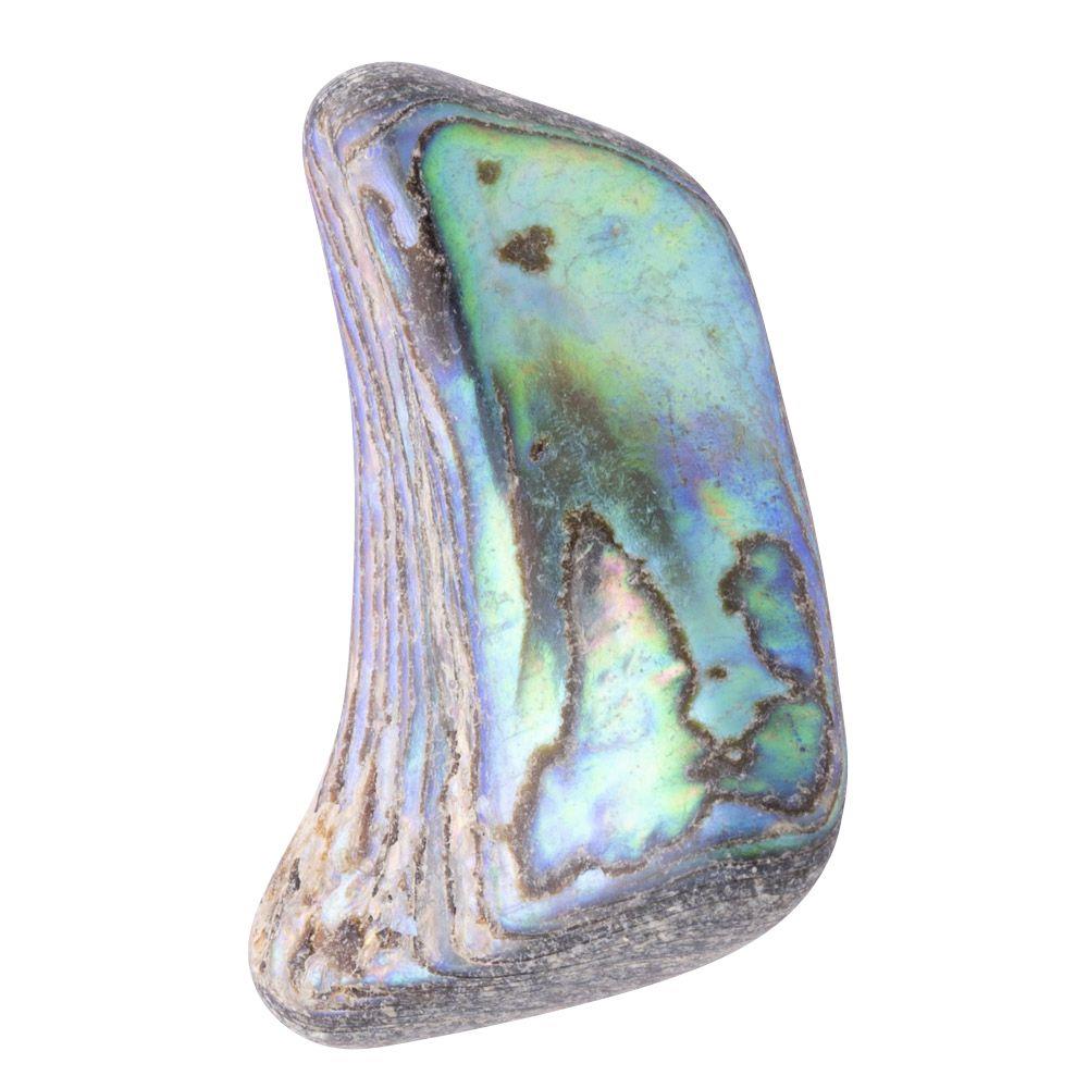 Abalone Shell Tumbled, Unsized