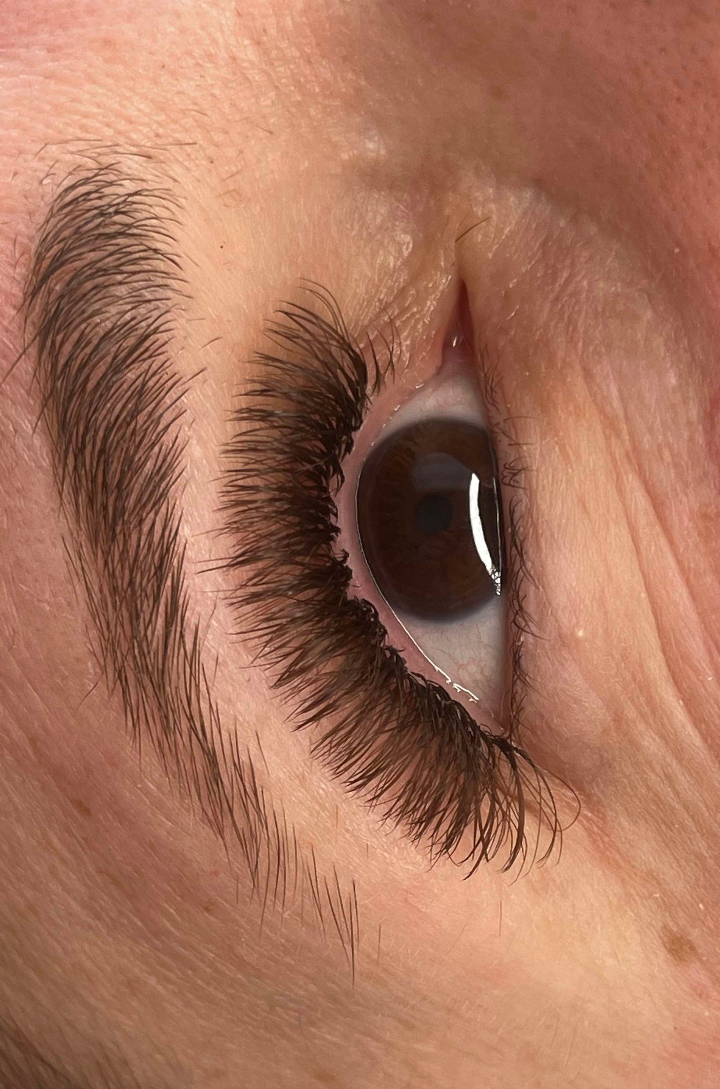 π€ Brown Fairy Lashes β Mixed Tray π€