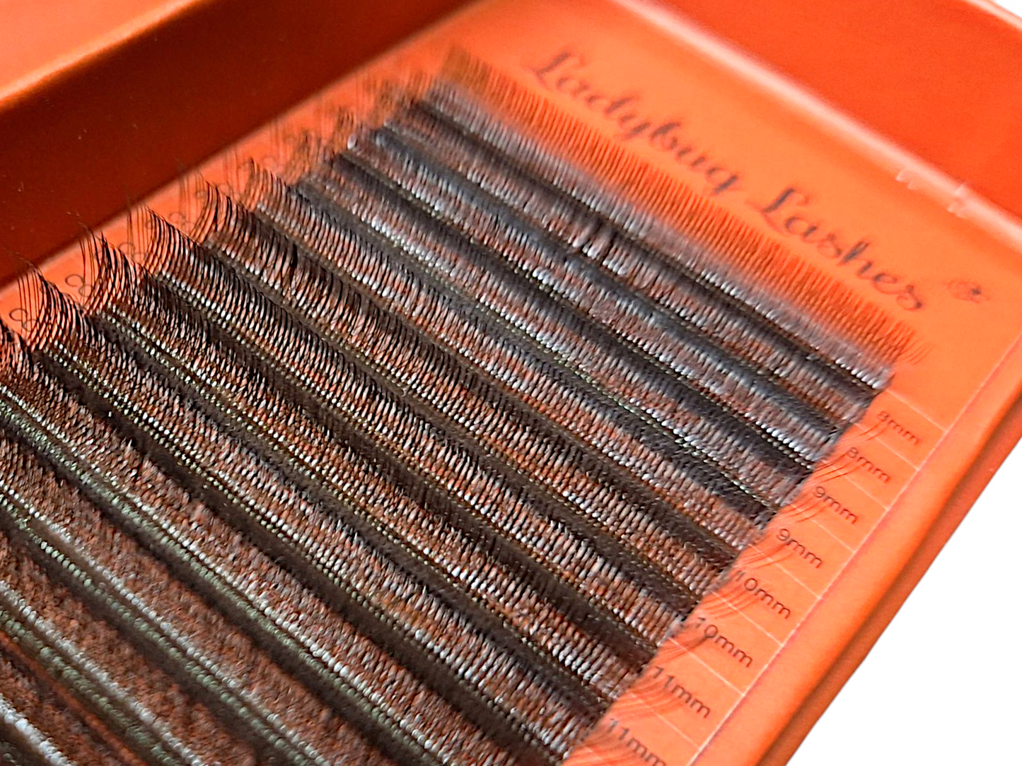 🤎Brown W Lash Tray – 16 Rows Mixed Length 🤎