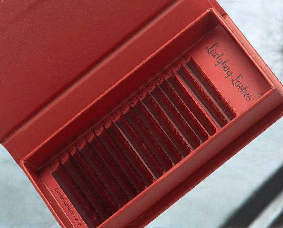 🤎Brown Silk Volume Lash Trays – 2 Shades 🤎