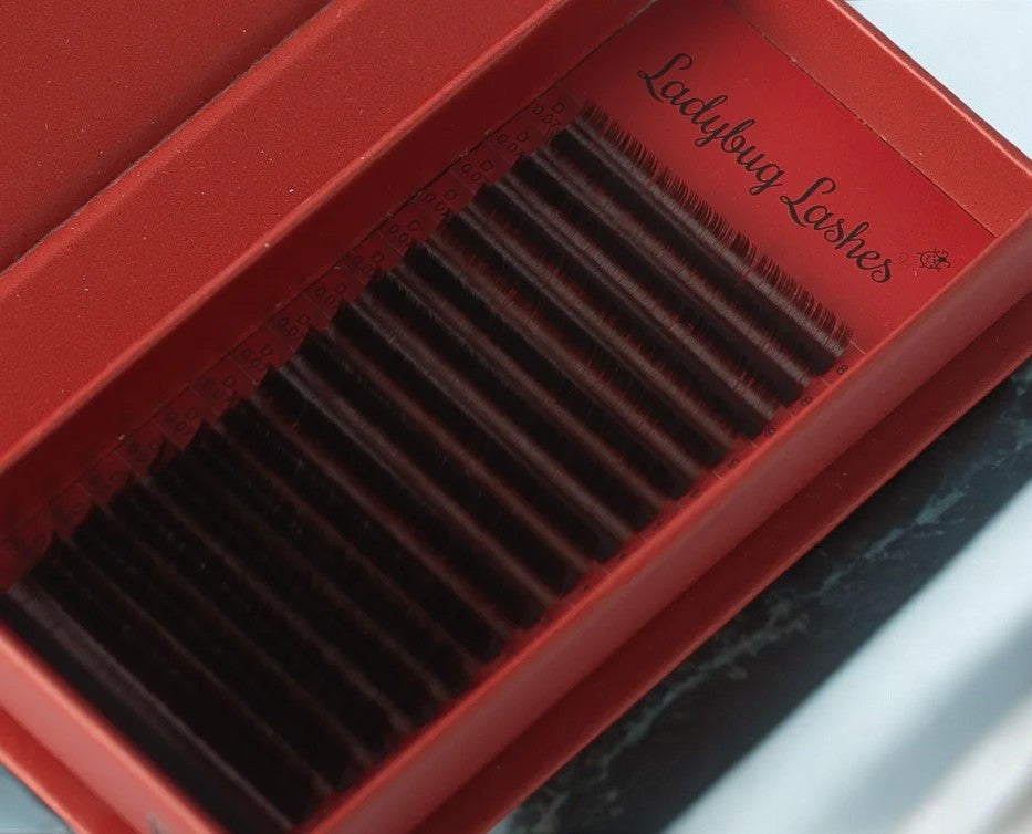 🤎Brown Silk Volume Lash Trays – 2 Shades 🤎