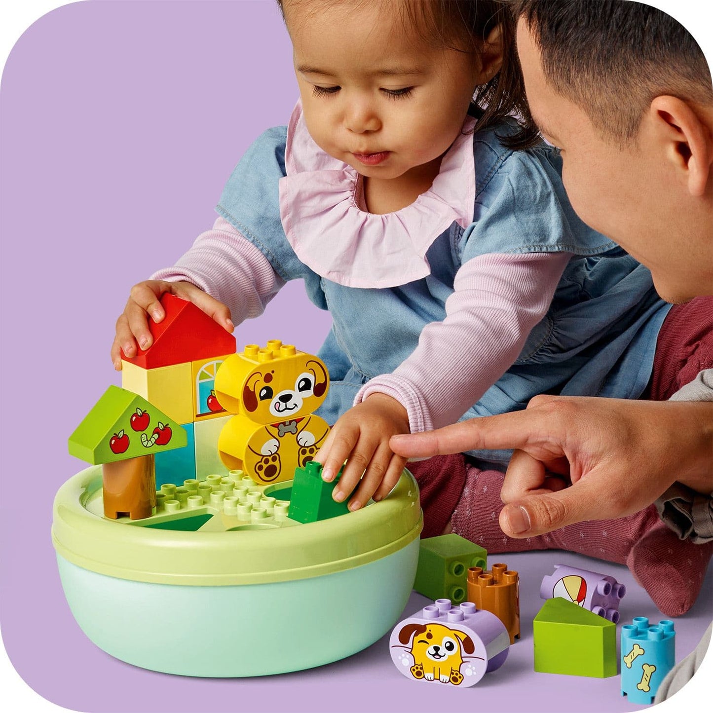 Lego Duplo 10441 My First Shape Sorter: Puppy House for Ages 18M & Up