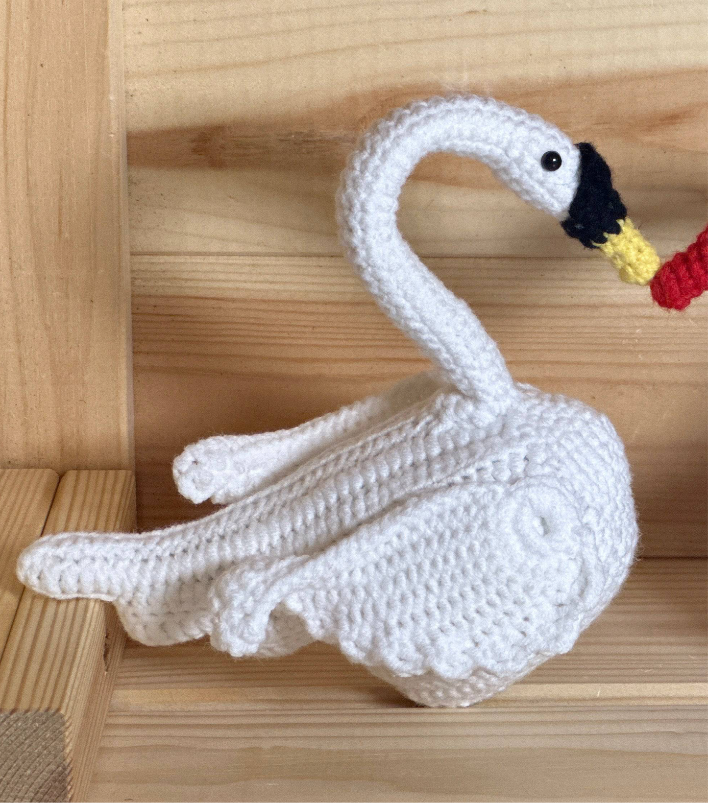 Black and White Swan Couple
