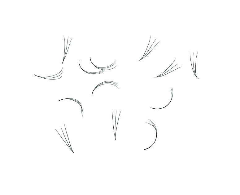 Loose Premade Fans β Mixed Box (3Dβ7D, C/CC/D Curl)