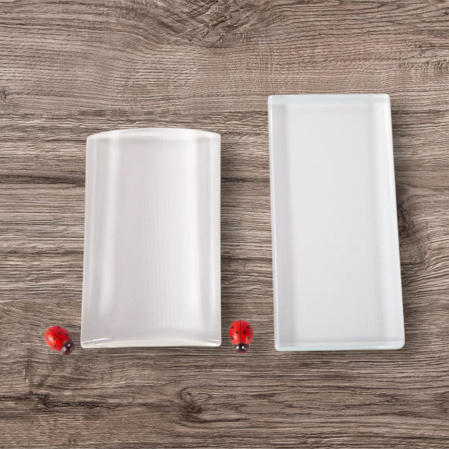 Clear Glass Lash Palette – Sleek & Simple Holder