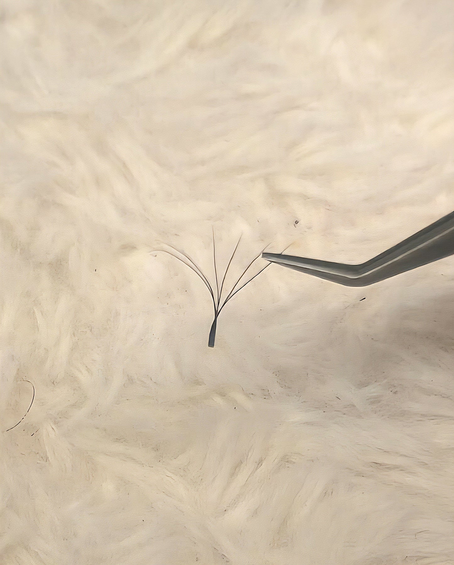 6D Clover Lash Extensions β 16 Rows, Single Length
