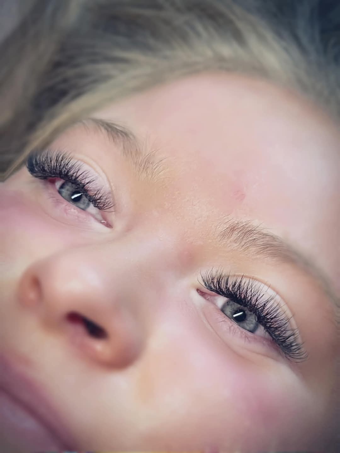 W Lashes Mixed Tray (16 Rows)