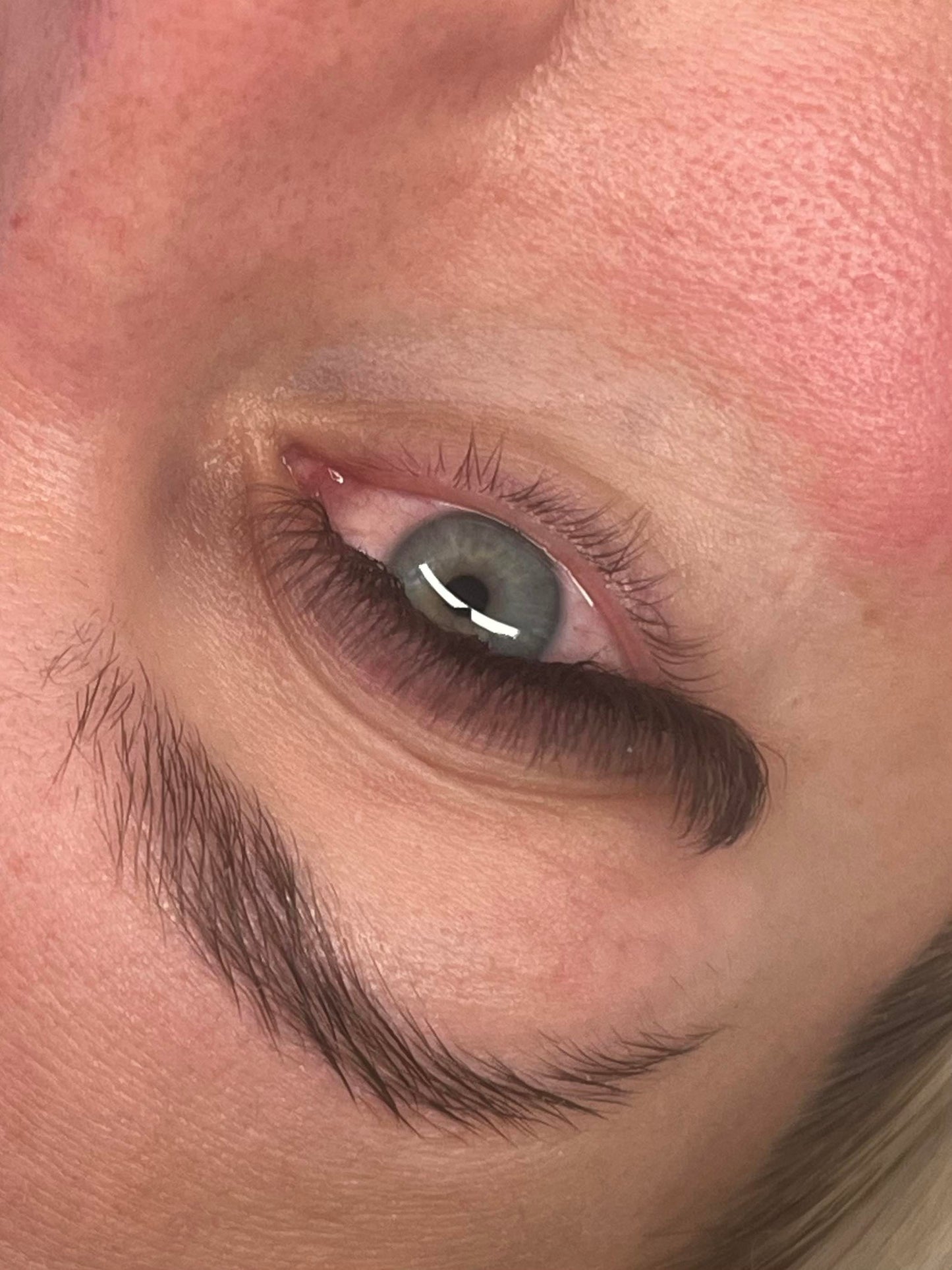 π€ Brown 4D Clover Lashes π€ 16 Rows β’ Single Length