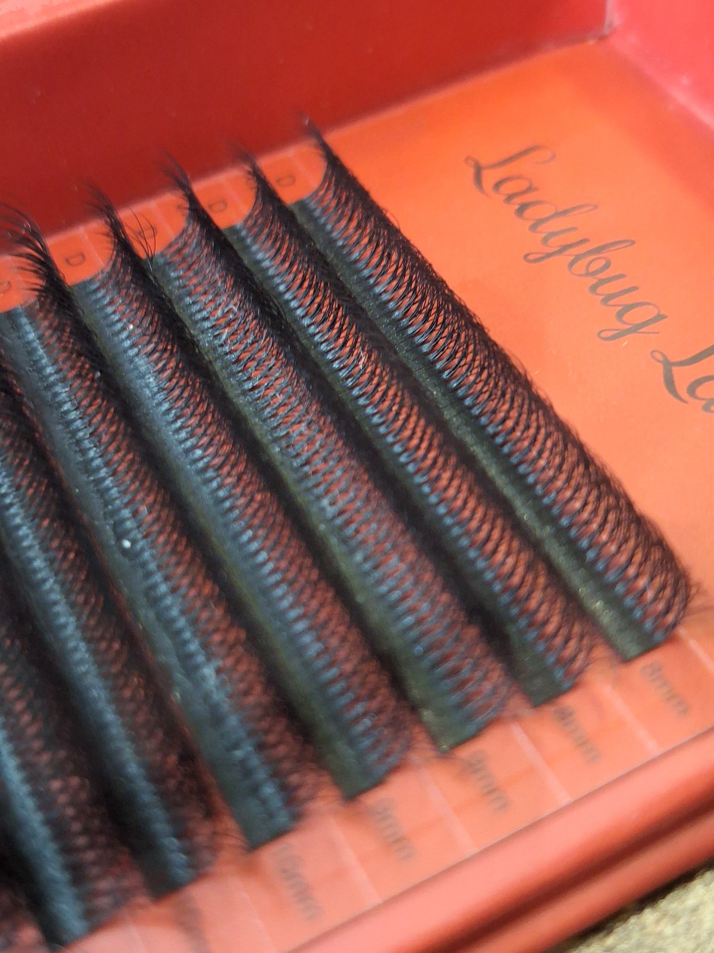 10D Clover Lashes Single Length