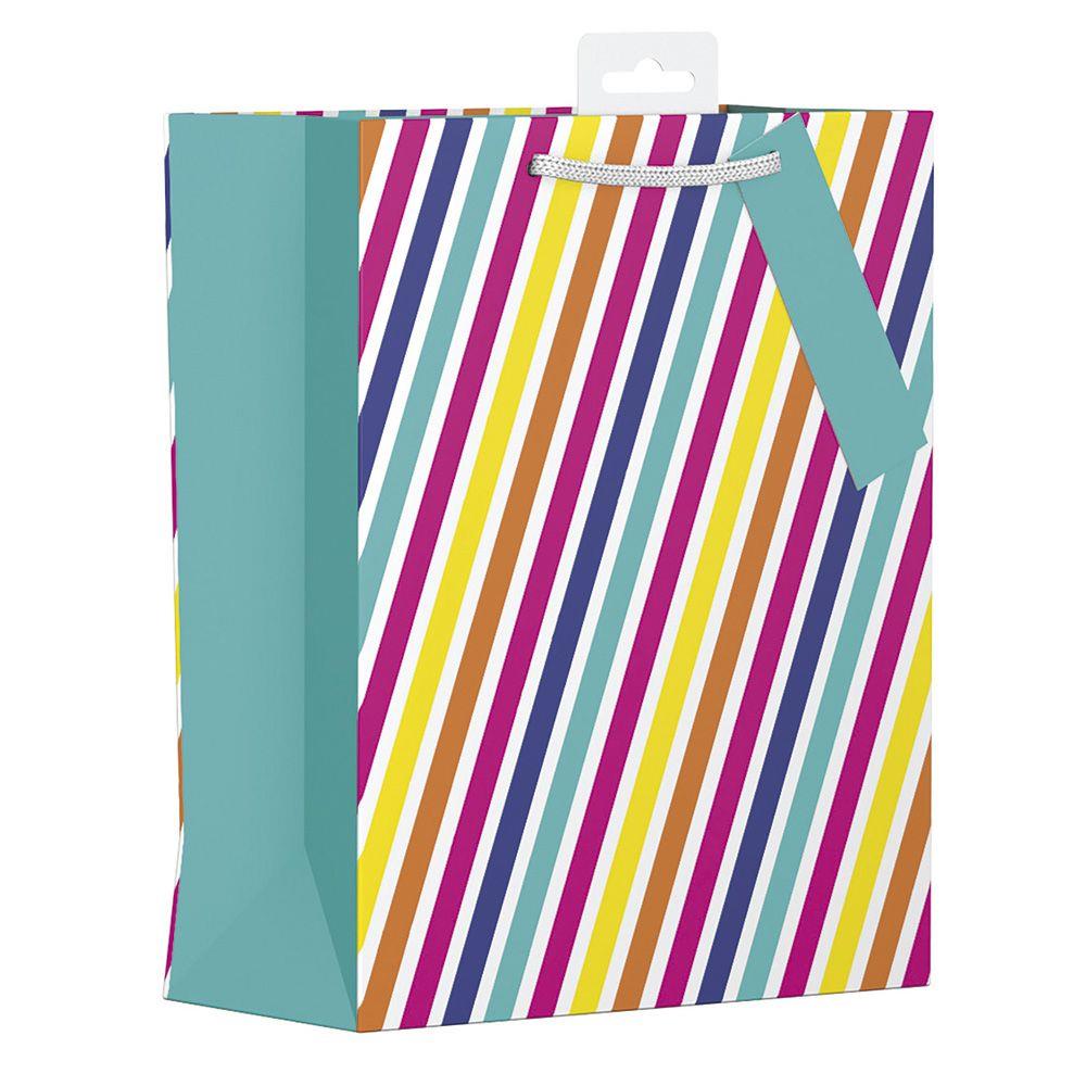Medium Gift Bag with Rainbow Stripes Design (W215 x H265 x D100 mm)