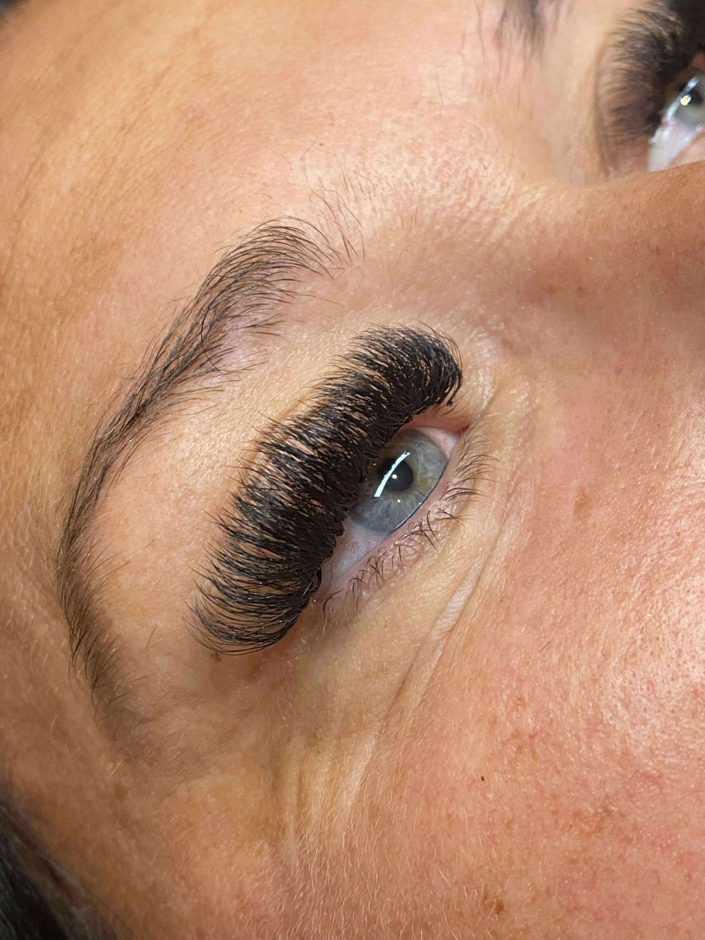 10D Clover Lashes Single Length