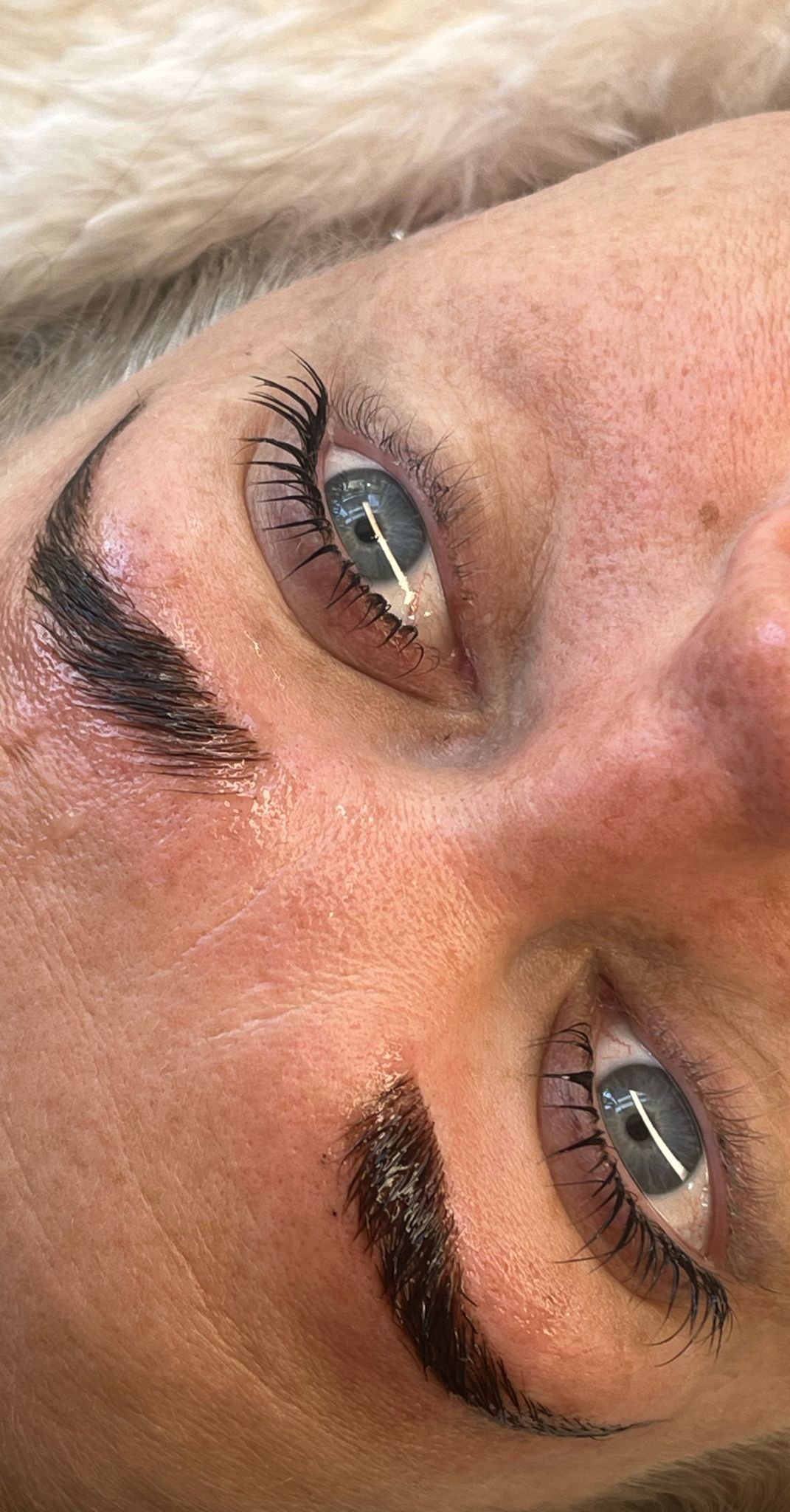 Flutter & Frame Step 1, 2, 3 Sample Pack – Lash Lift & Brow Lamination (TGA)