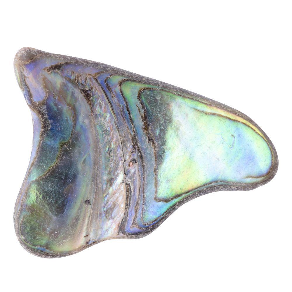 Abalone Shell Tumbled, Unsized
