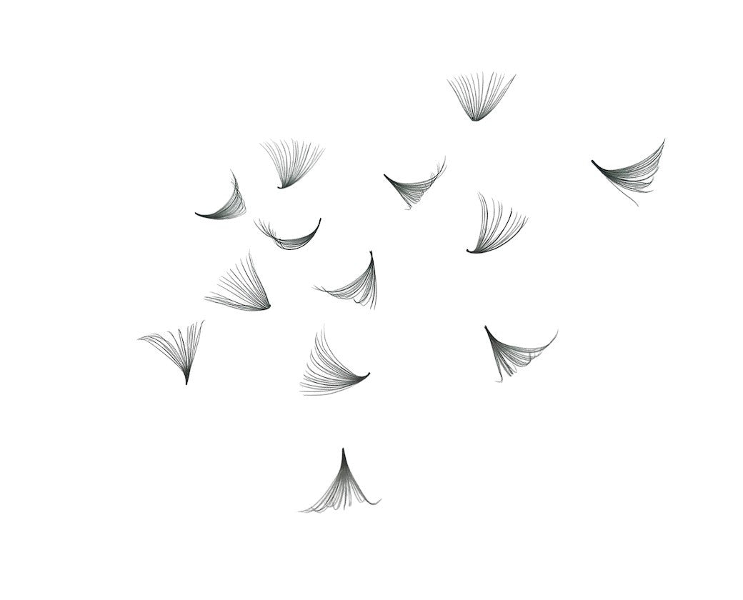 Loose Individual D Curl Promades β 8D to 20D Lash Extensions