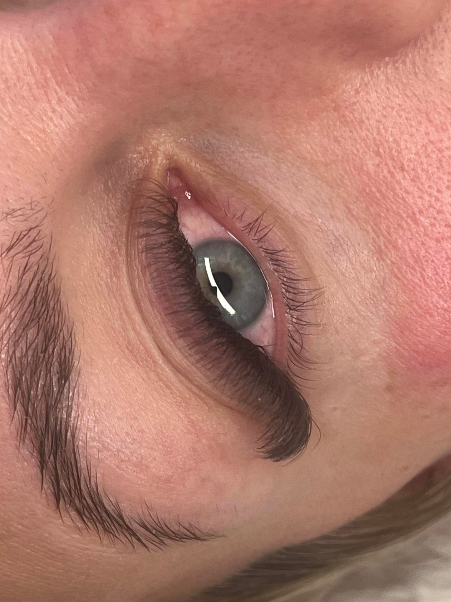 π€ Brown 4D Clover Lashes π€ 16 Rows β’ Single Length