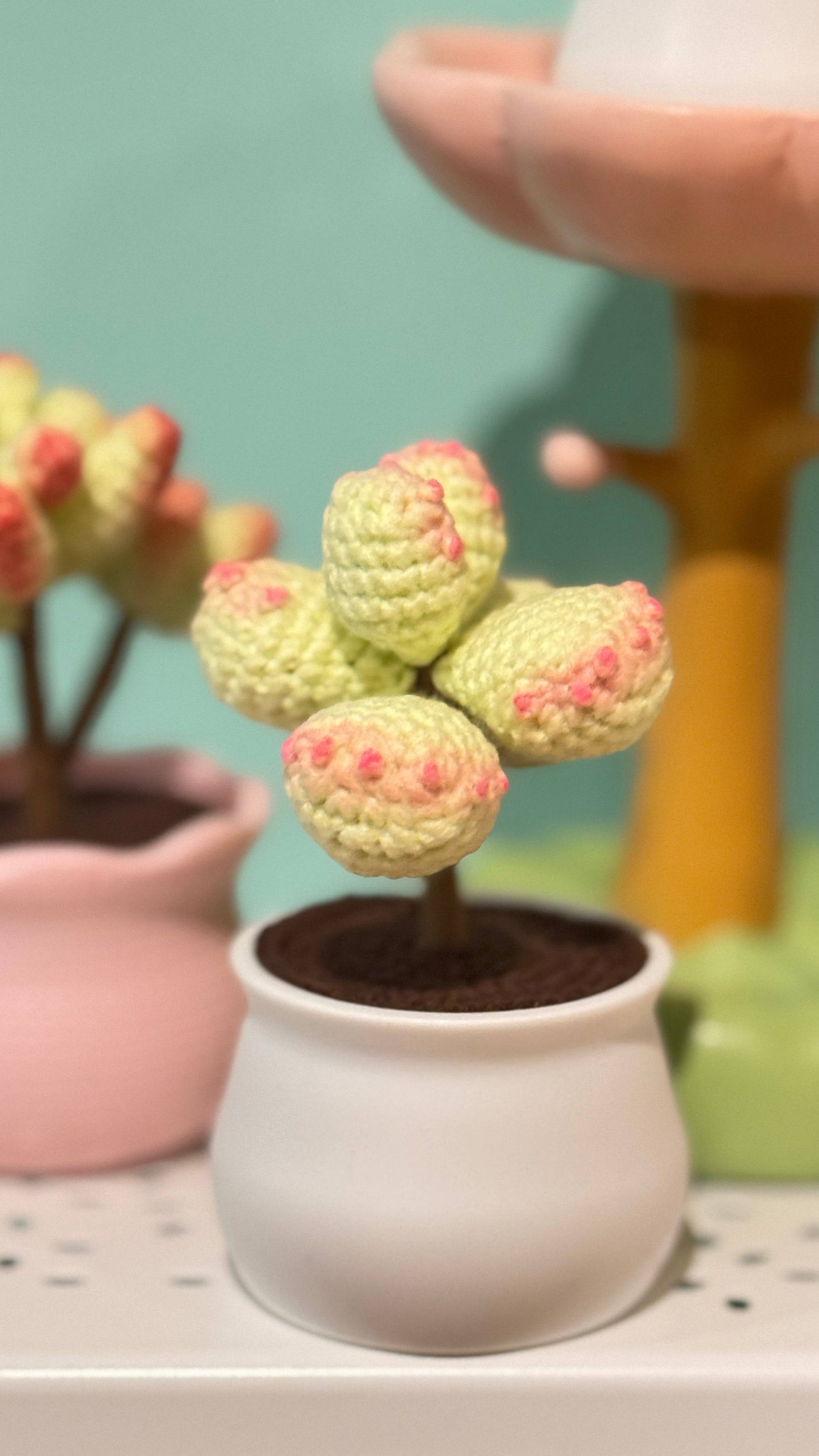 Tranquil Succulent Garden Collection