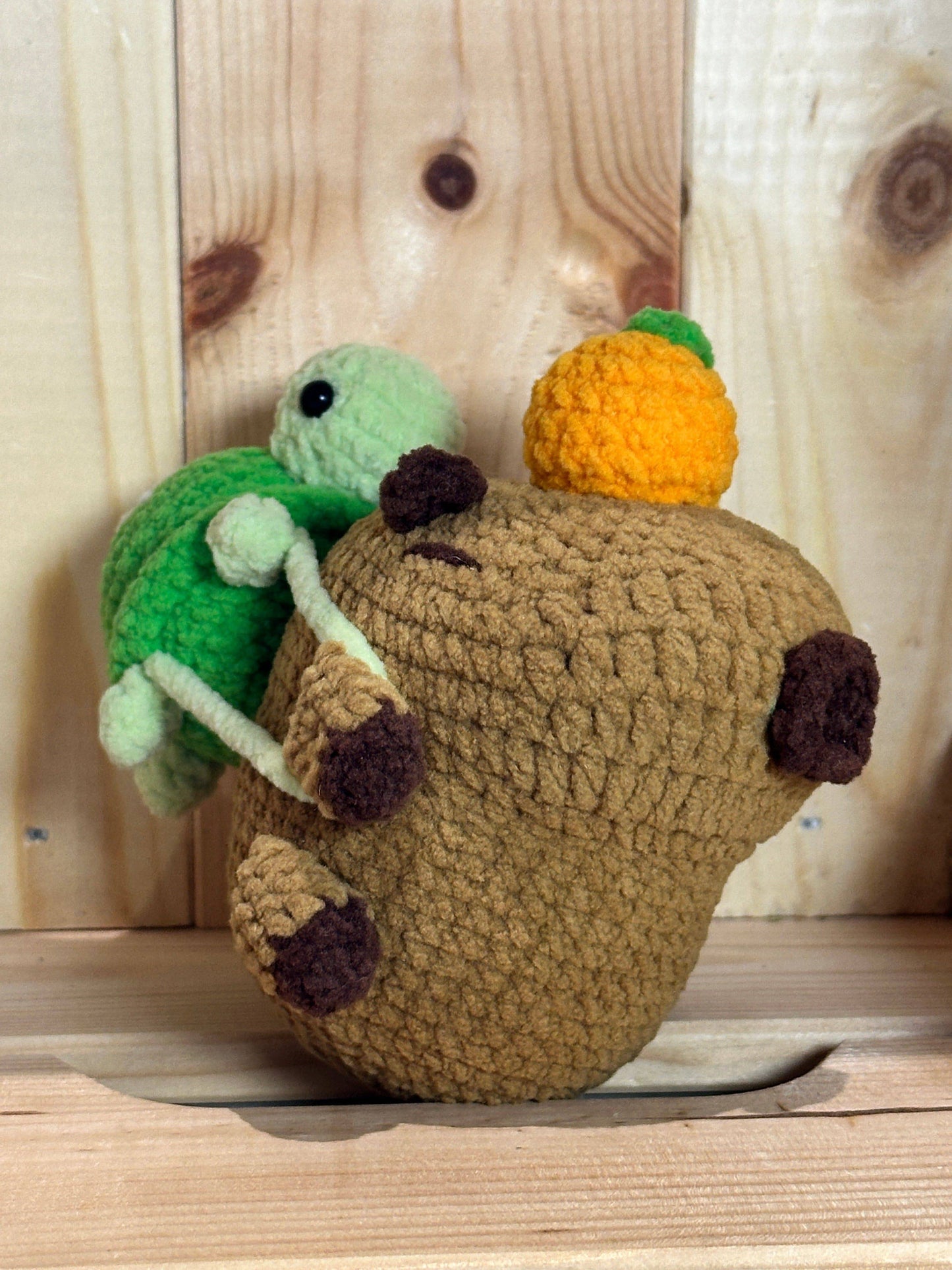 Capybara with green turtle