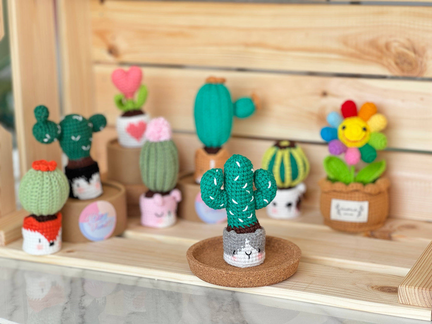 NEW members join Cactus Family!