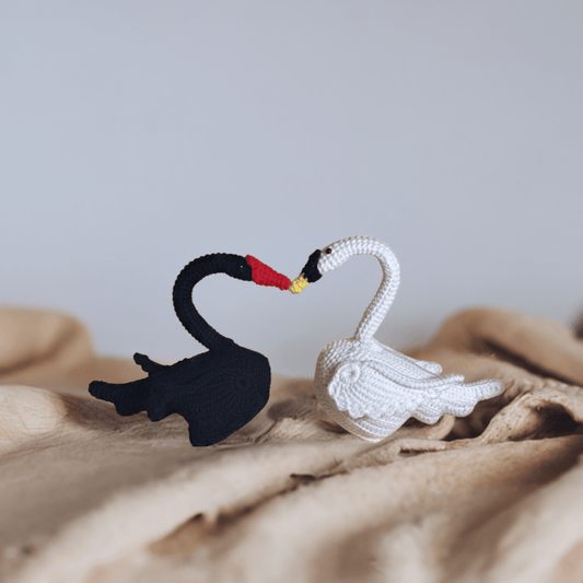 Black and White Swan Couple