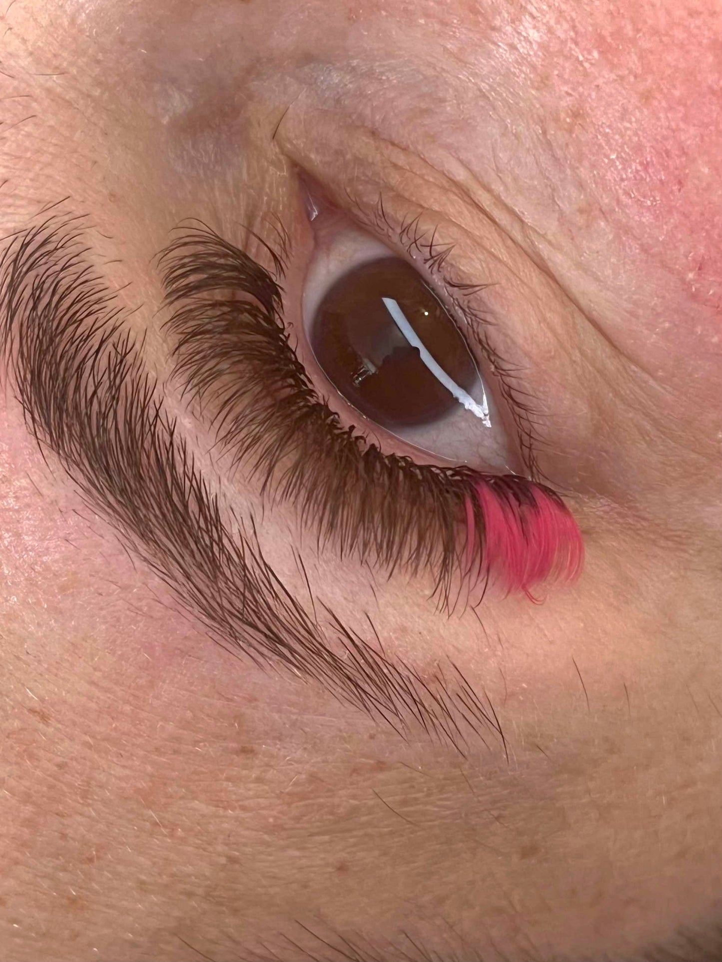 π Bold Colour Volume Lashes π 0.05mm β’ 5-Row Tray β’ 10β14mm Mix