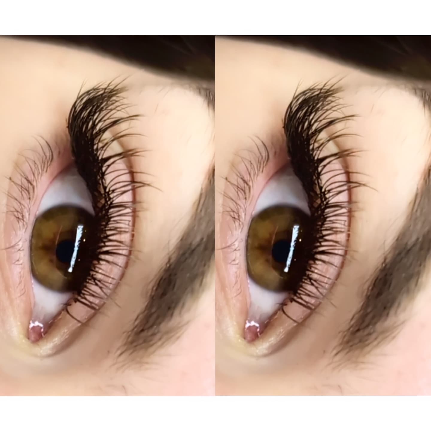 Cashmere Flat Classics β 16 Row Mixed Tray in Brown π€π€ or Caramel π€π€