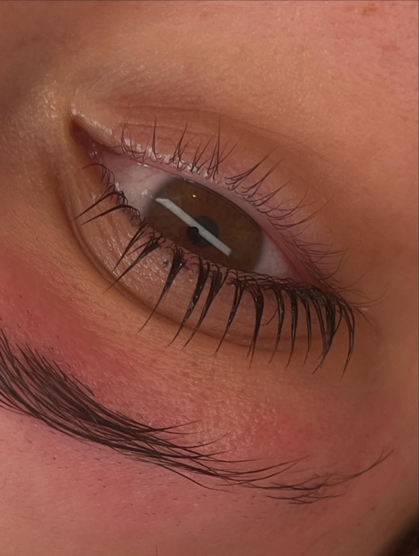 Flutter & Frame Step 1, 2, 3 Sample Pack – Lash Lift & Brow Lamination (TGA)