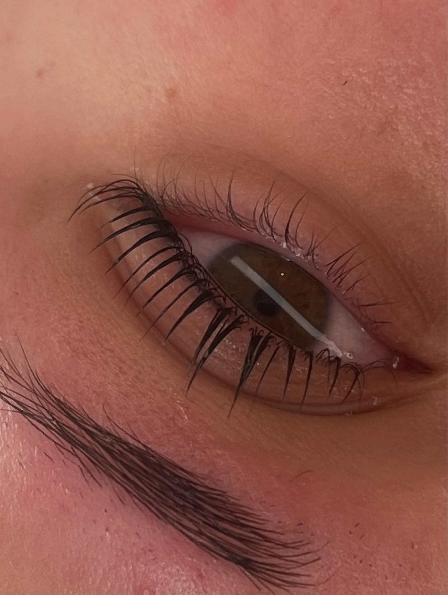 Flutter & Frame Step 1, 2, 3 Sample Pack – Lash Lift & Brow Lamination (TGA)