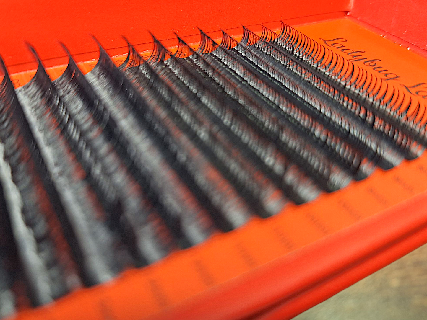 Wet Look Lash Tray – Mixed Lengths, 16 Rows