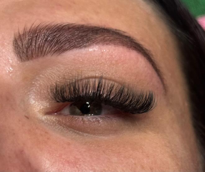 10D Clover Lashes Single Length